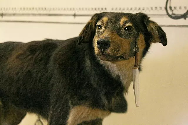 pavlov