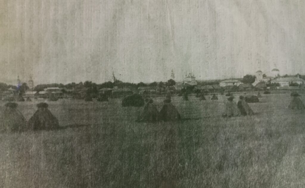Панорама Царевококшайска с юго-запада (1900-е гг)
