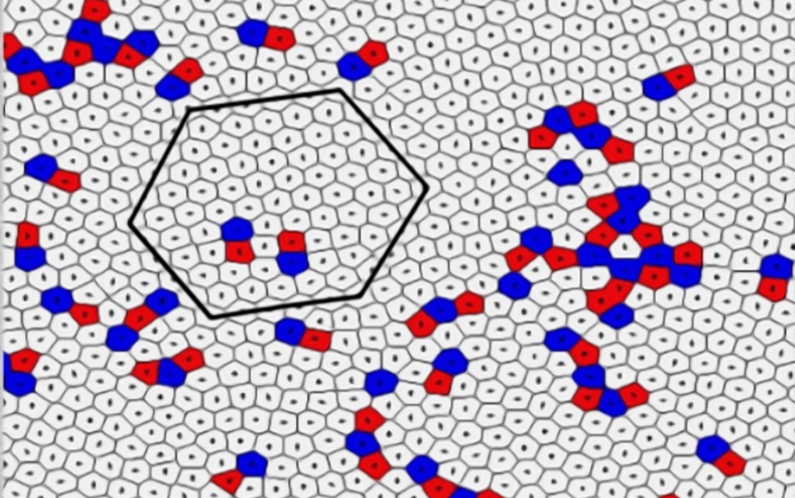 Иллюстрация гексатической фазы