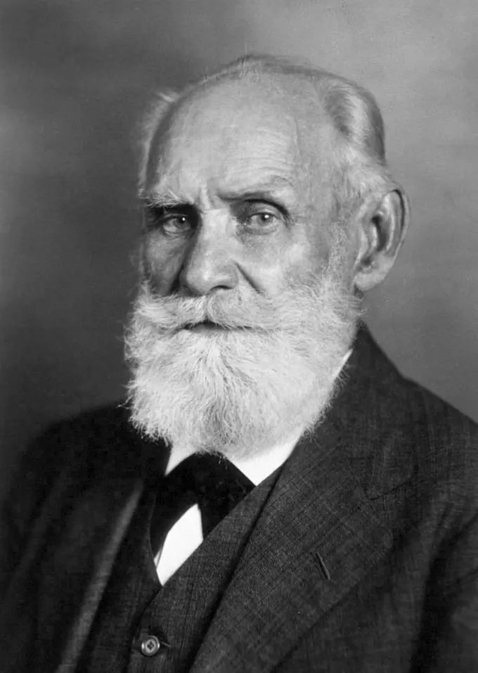 pavlov