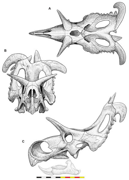 Lokiceratops 