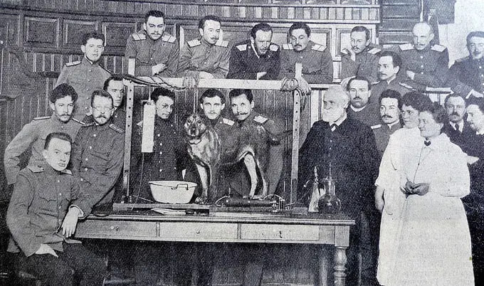 pavlov