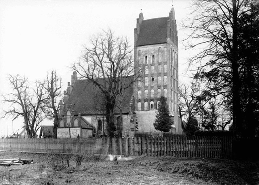 allenau