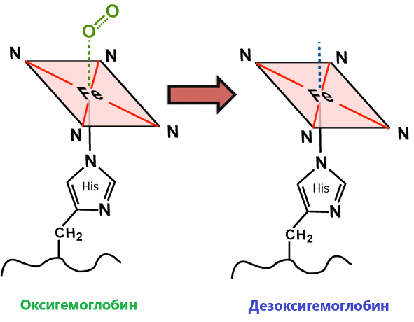 vyzov